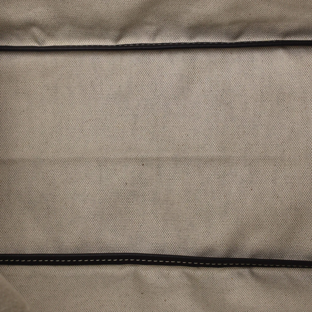 Saint Louis Tote Coated Canvas PM - Deep Luxury