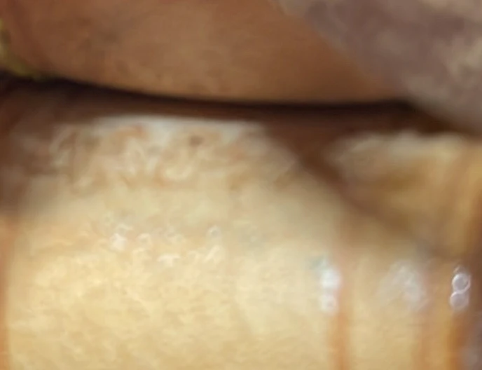 Petit Noe Handbag Monogram Canvas - Deep Luxury