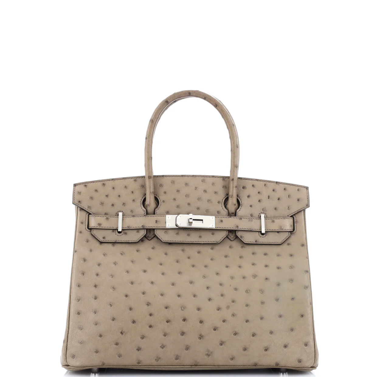 Birkin Handbag Mousse Ostrich with Palladium Hardware 30 - Deep Luxury
