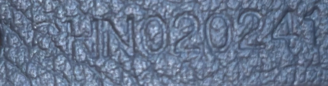 Saint Louis Tote Coated Canvas PM - Deep Luxury