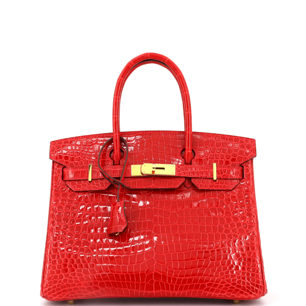 Birkin Handbag Braise Shiny Porosus Crocodile with Gold Hardware 30 - Deep Luxury