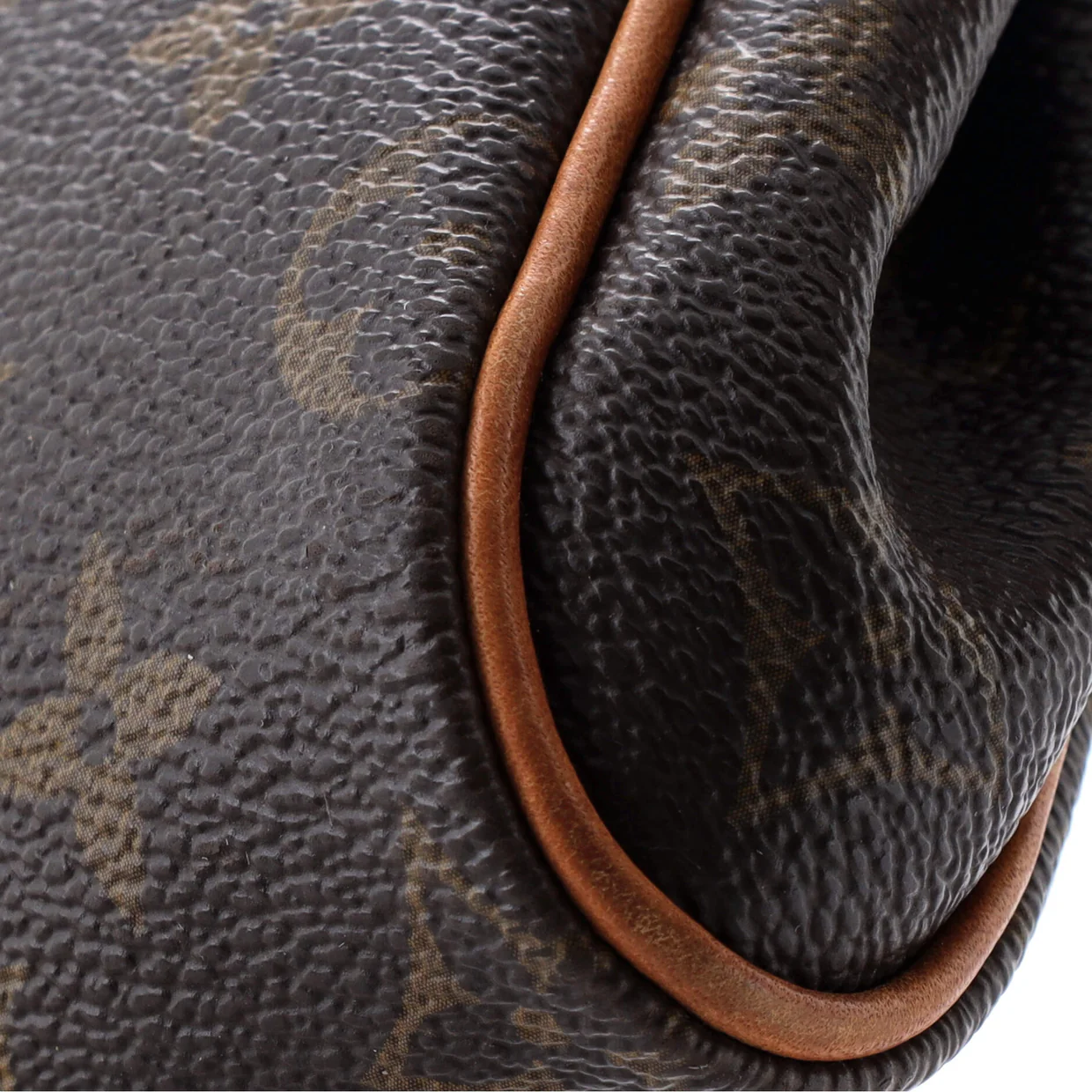 Eva Handbag Monogram Canvas - Deep Luxury