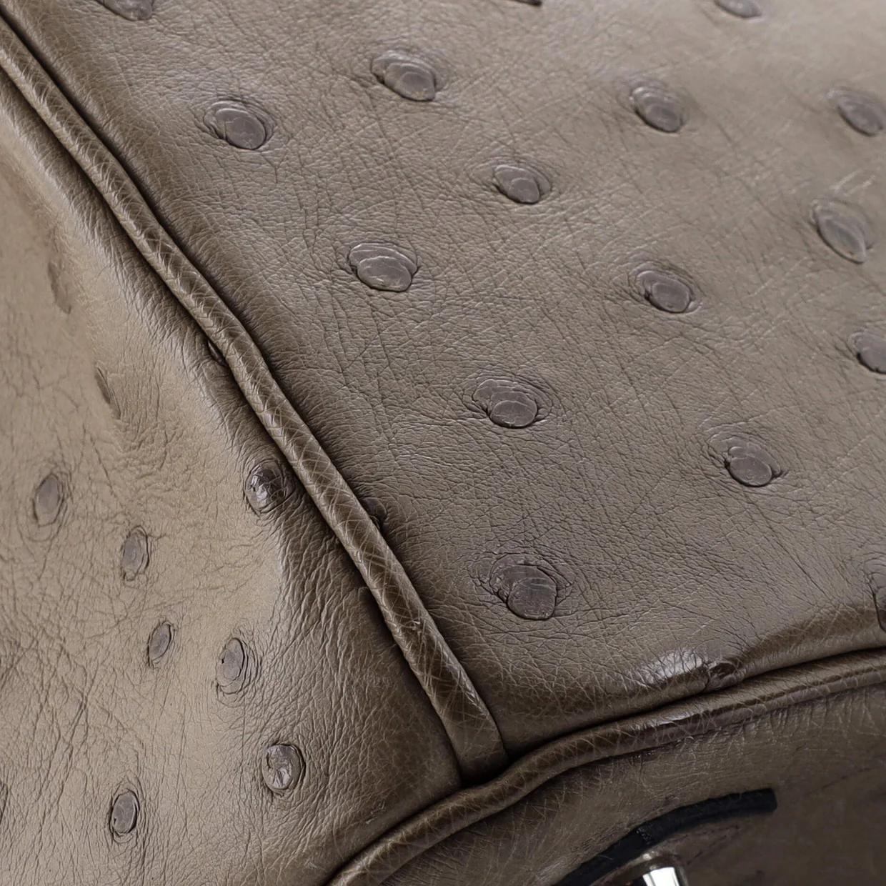 Birkin Handbag Mousse Ostrich with Palladium Hardware 30 - Deep Luxury