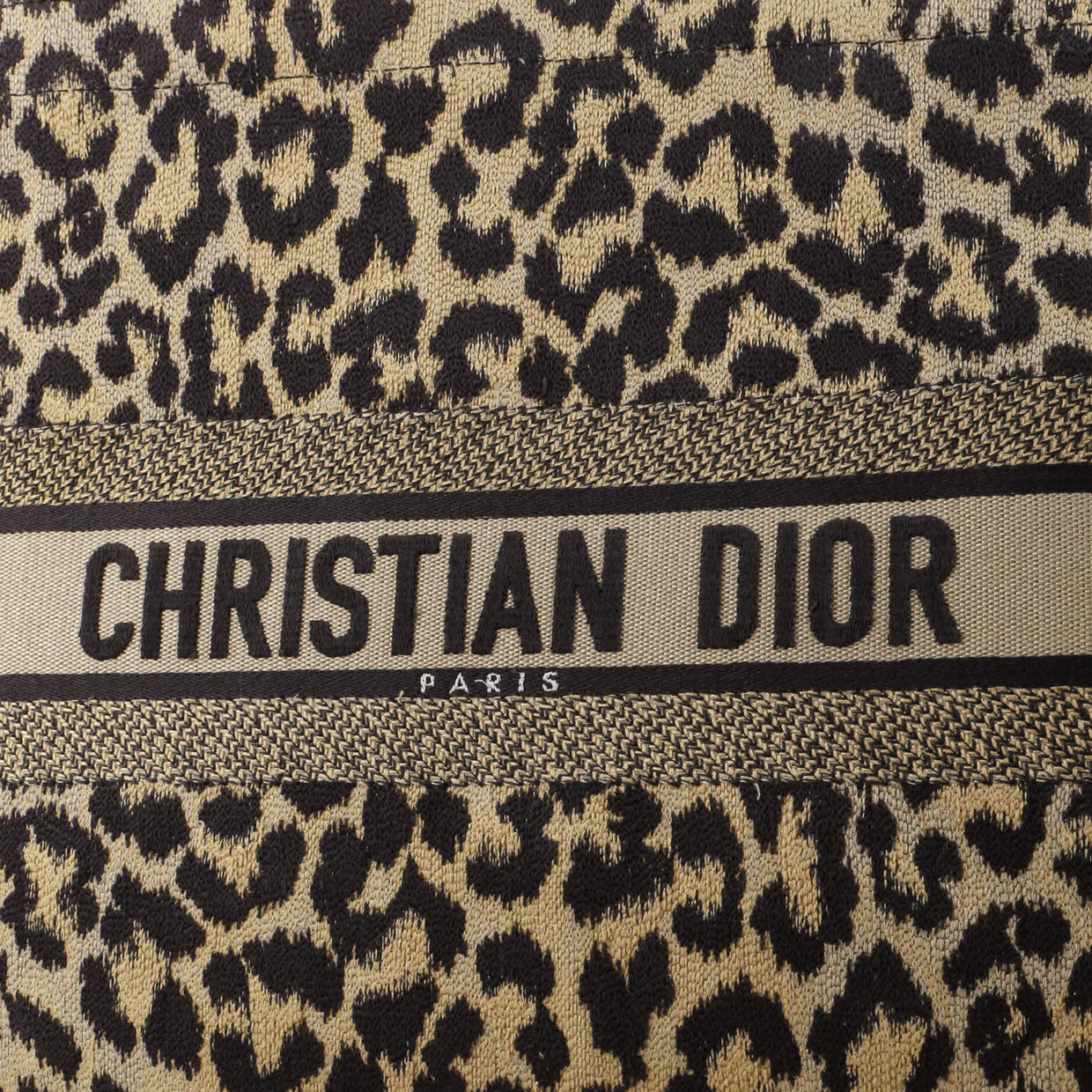 Book Tote Mizza Embroidered Canvas Large - Deep Luxury