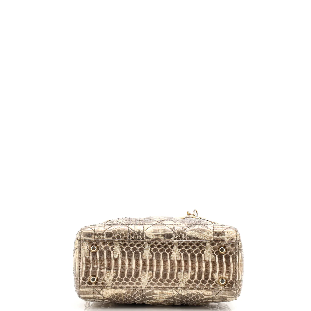 Lady Dior Bag Python Mini - Deep Luxury