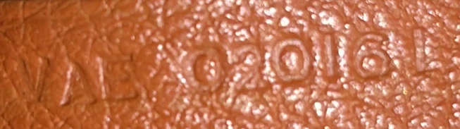 Saint Louis Tote Coated Canvas PM - Deep Luxury