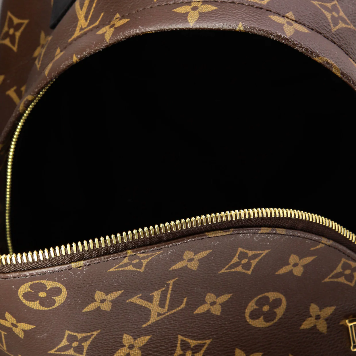 Palm Springs Backpack Monogram Canvas MM - Deep Luxury