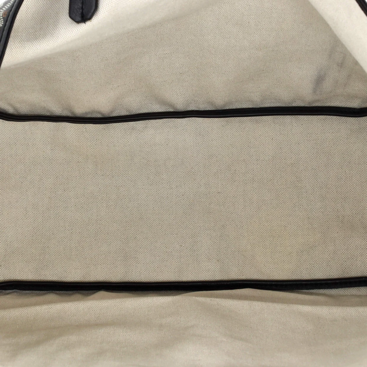 Saint Louis Tote Coated Canvas PM - Deep Luxury