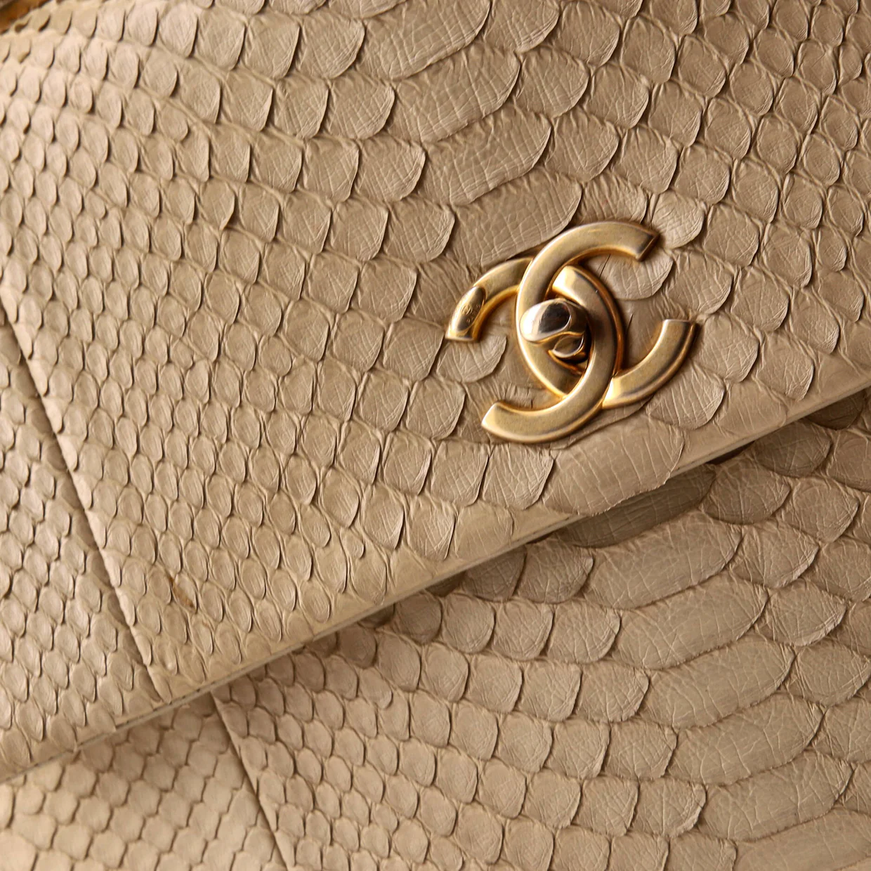 Coco Top Handle Bag Python Medium - Deep Luxury