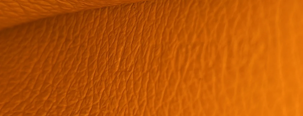 Saigon Top Handle Bag Coated Canvas with Leather Mini - Deep Luxury