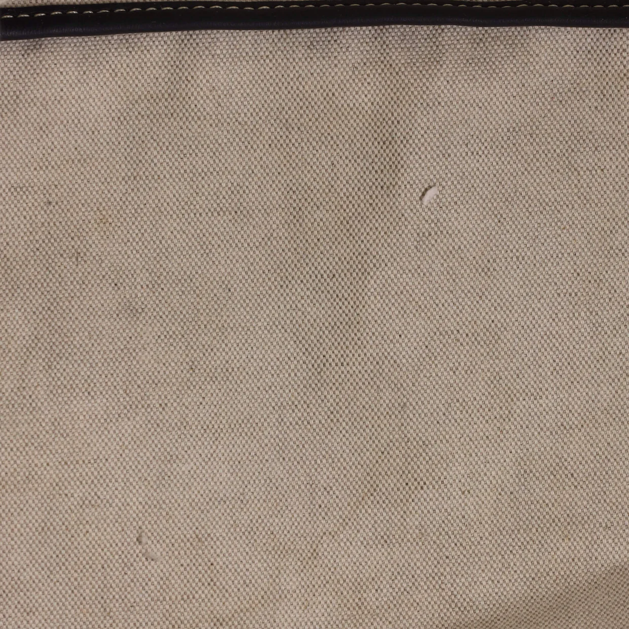Saint Louis Tote Coated Canvas GM - Deep Luxury
