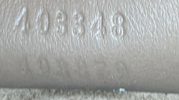 Dionysus Bag GG Coated Canvas Medium - Deep Luxury