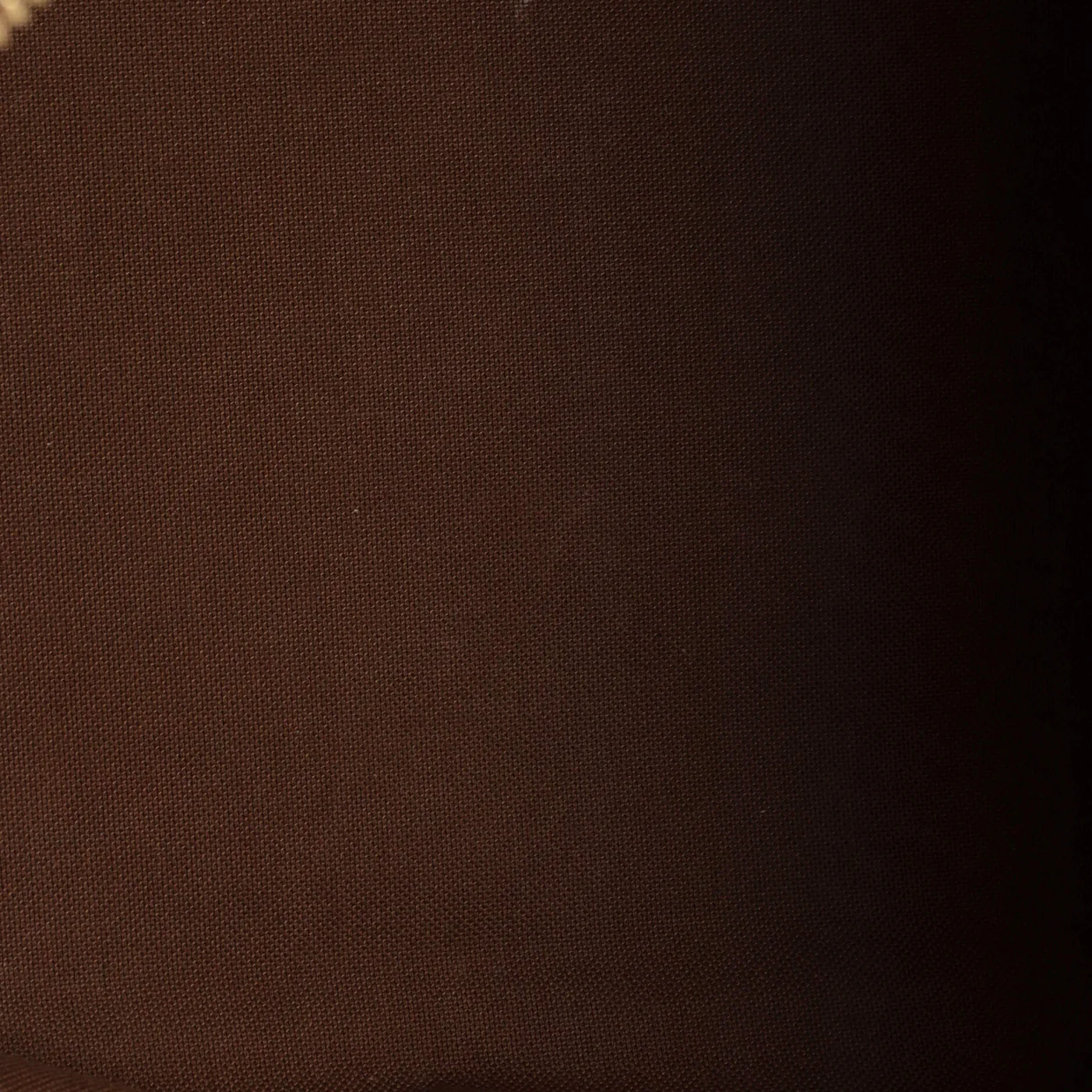 Palermo Handbag Monogram Canvas PM - Deep Luxury