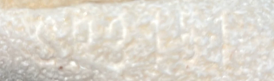 Galliera Handbag Monogram Canvas PM - Deep Luxury