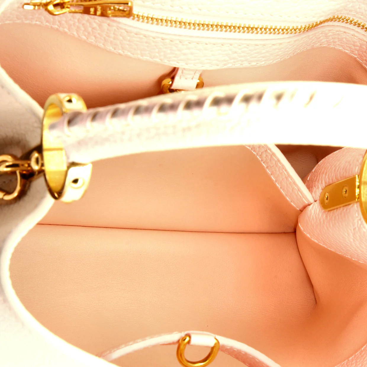 Capucines Bag Leather with Rainbow Braided Detail BB - Deep Luxury