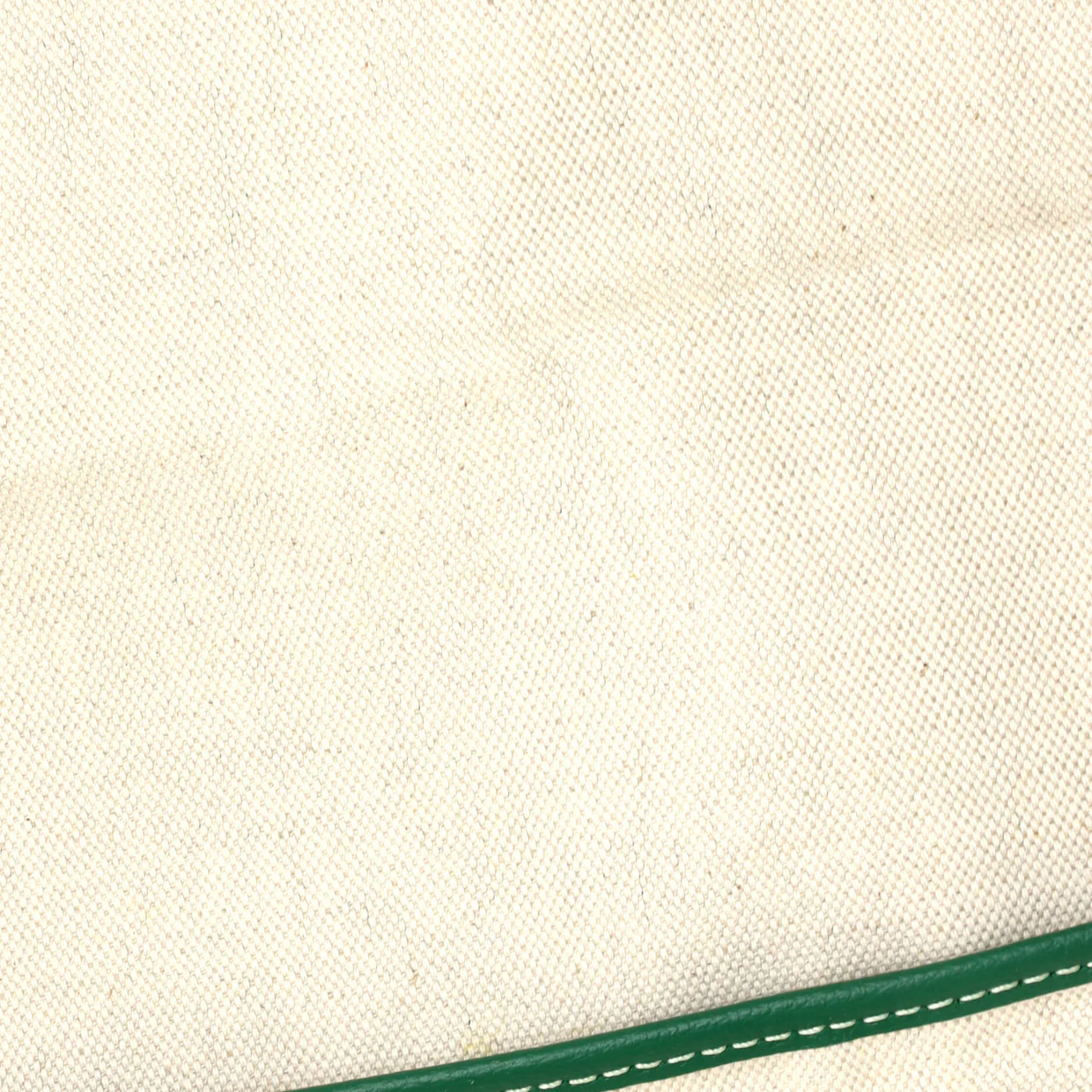 Saint Louis Tote Coated Canvas GM - Deep Luxury