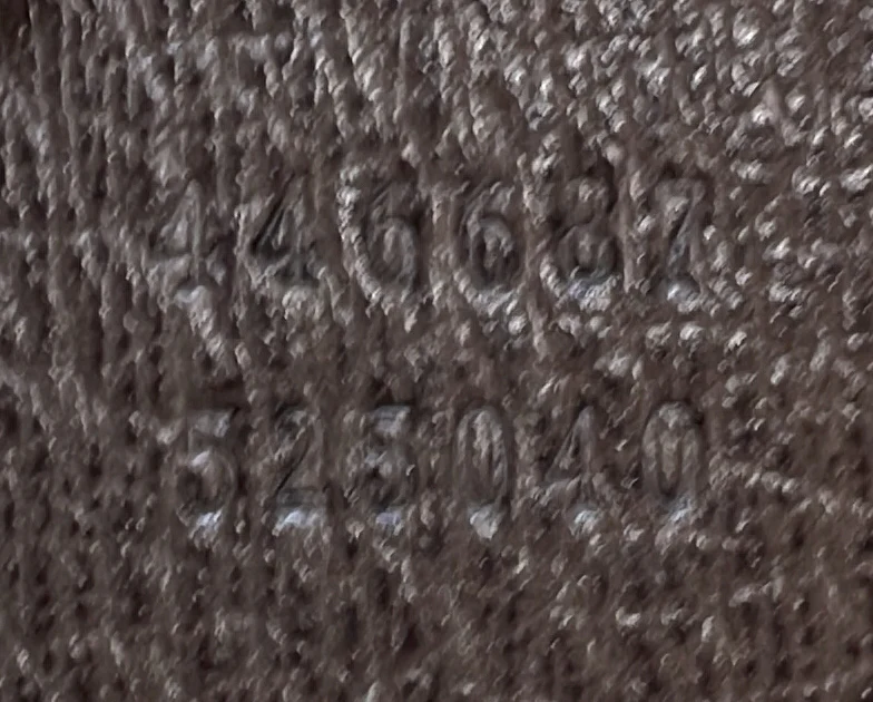 Dionysus Hobo GG Coated Canvas Medium - Deep Luxury