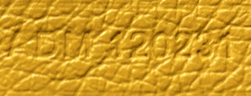 Saint Louis Tote Coated Canvas PM - Deep Luxury