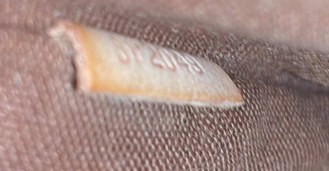 Trotteur Beaubourg Handbag Monogram Canvas - Deep Luxury