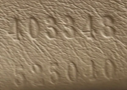 Dionysus Bag GG Coated Canvas Medium - Deep Luxury