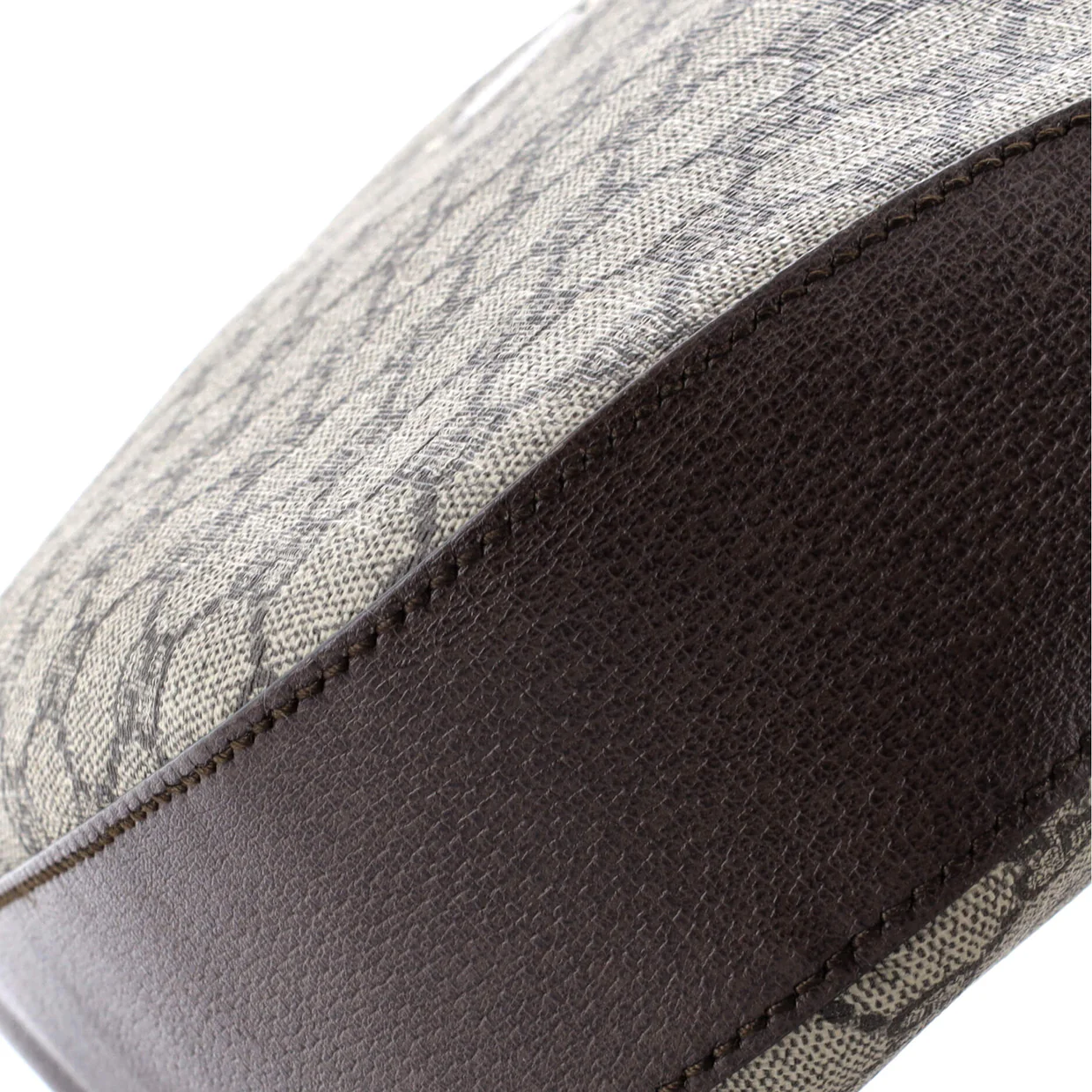 Dionysus Hobo GG Coated Canvas Medium - Deep Luxury