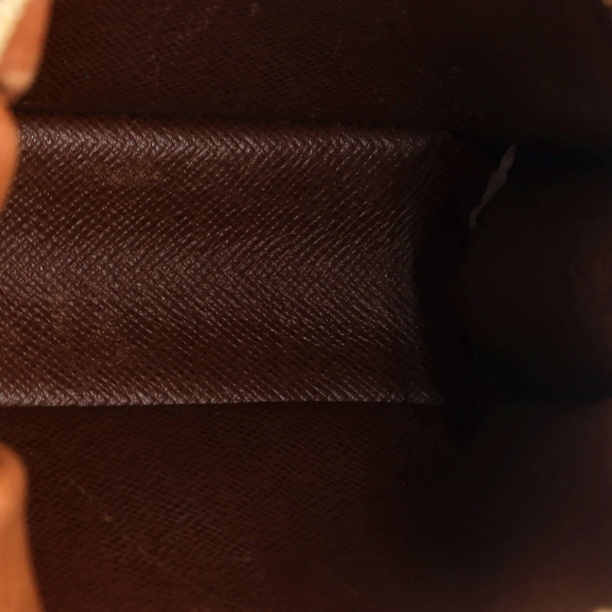 Danube Handbag Monogram Canvas - Deep Luxury