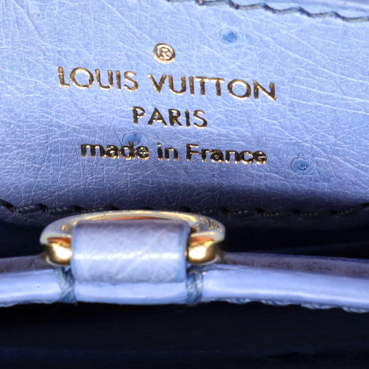 Capucines Bag Ostrich BB - Deep Luxury