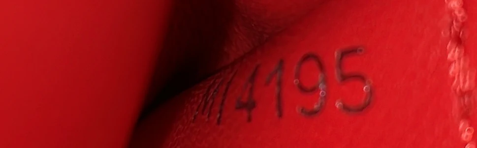 Capucines Bag Leather with Python MM - Deep Luxury