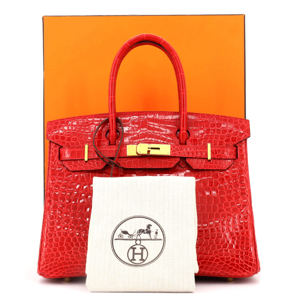 Birkin Handbag Braise Shiny Porosus Crocodile with Gold Hardware 30 - Deep Luxury