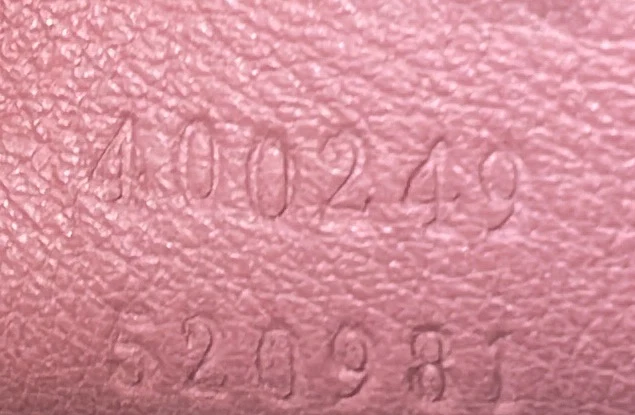 Dionysus Bag Blooms Print GG Coated Canvas Small - Deep Luxury