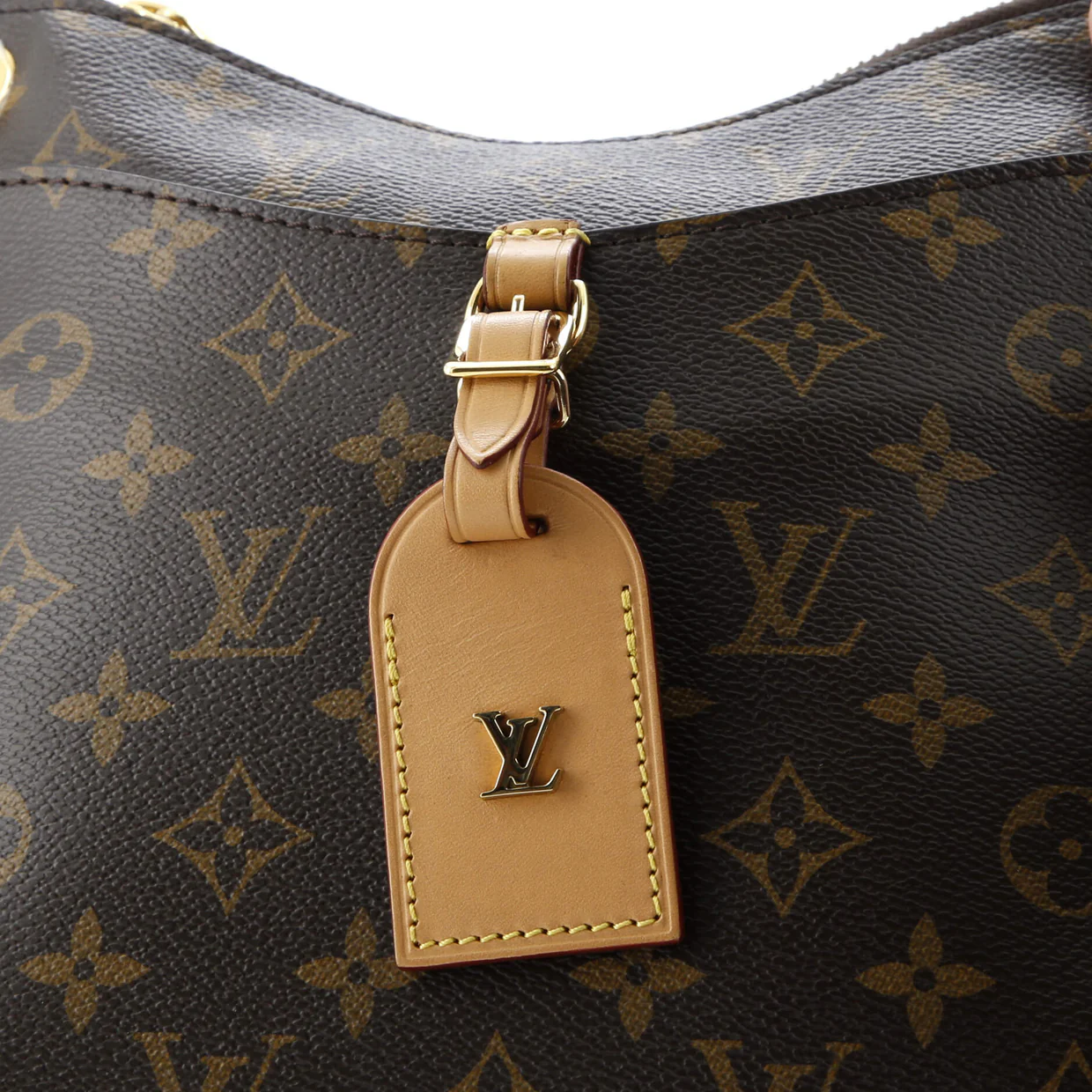 Odeon NM Handbag Monogram Canvas PM - Deep Luxury