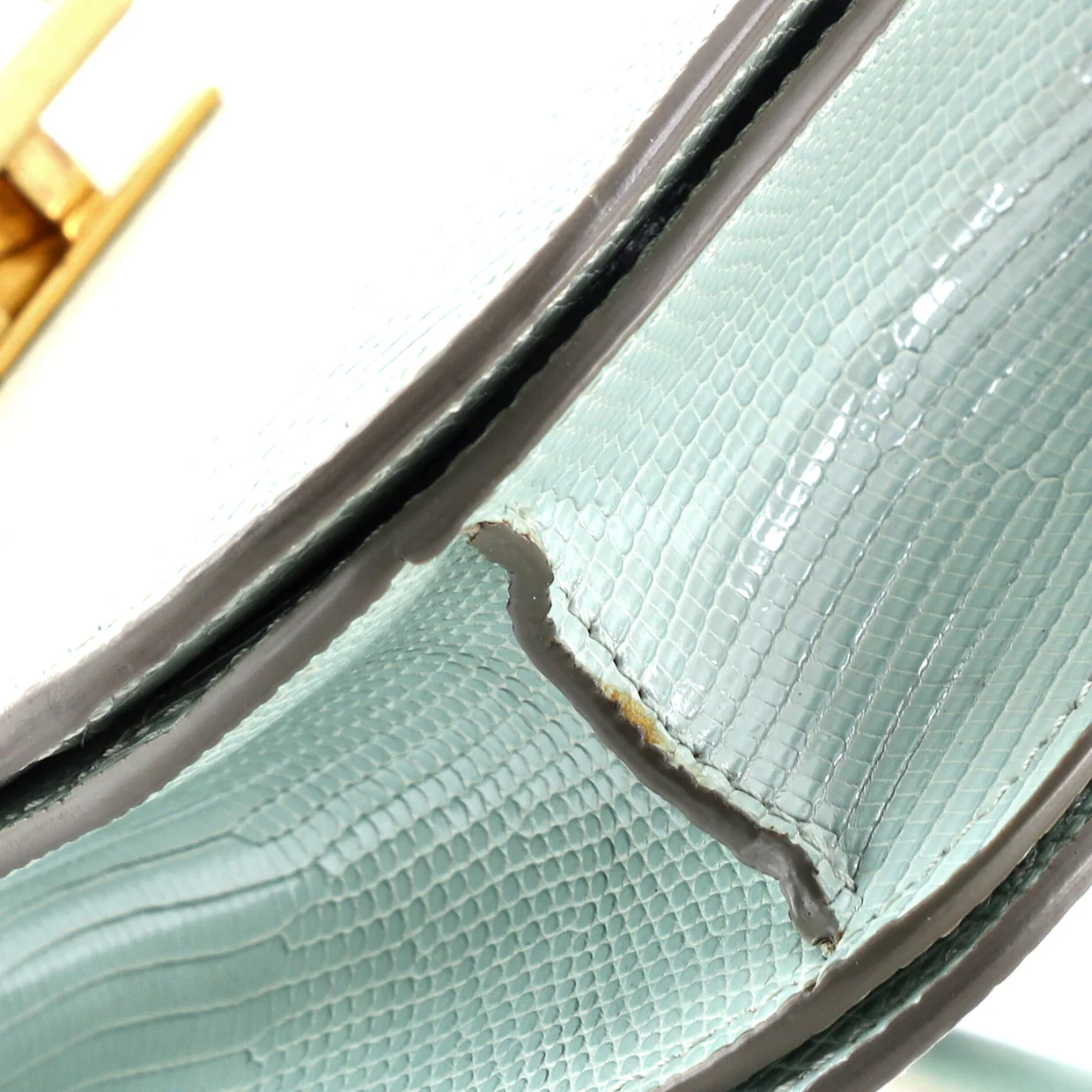 Classic Box Bag Lizard Medium - Deep Luxury