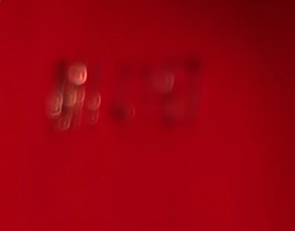 Capucines Bag Leather BB - Deep Luxury