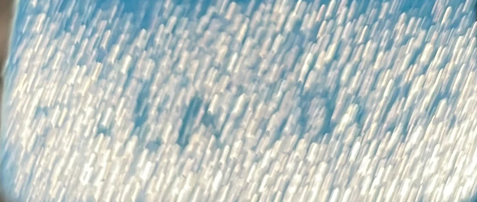 Phantom Bag Python Medium - Deep Luxury