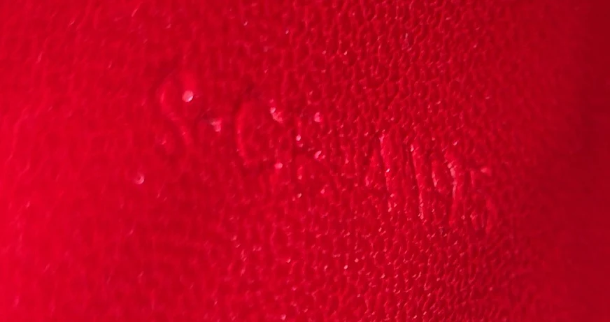 Classic Box Bag Lizard Medium - Deep Luxury