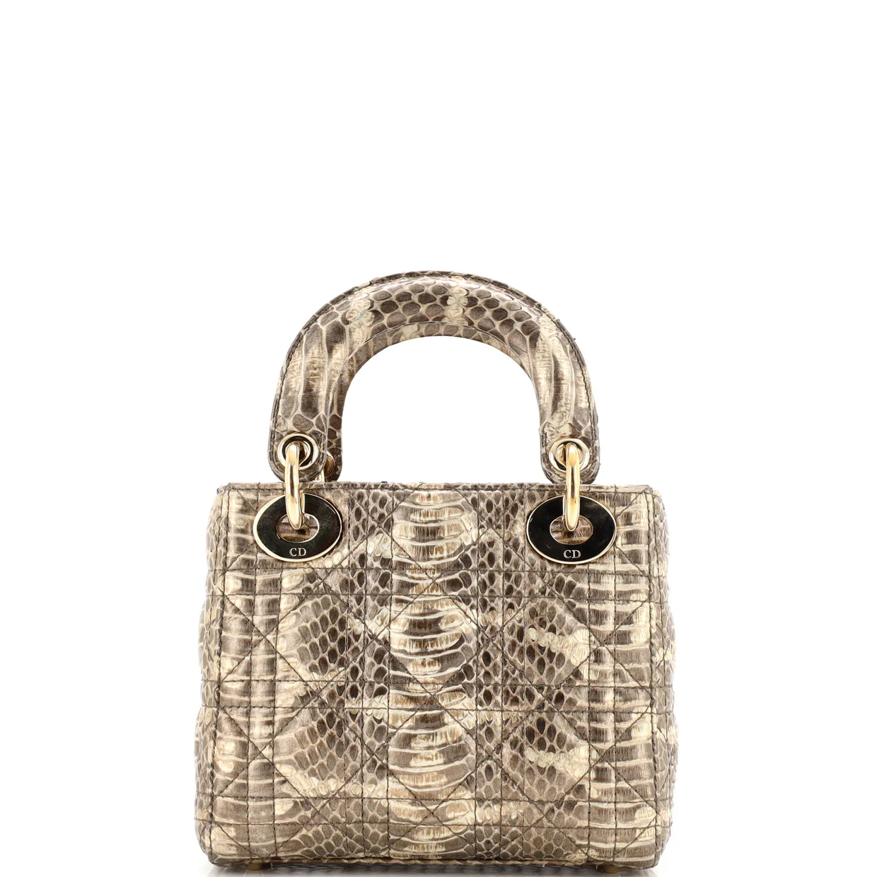 Lady Dior Bag Python Mini - Deep Luxury
