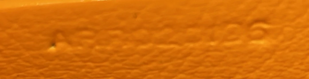 Saigon Top Handle Bag Coated Canvas with Leather Mini - Deep Luxury