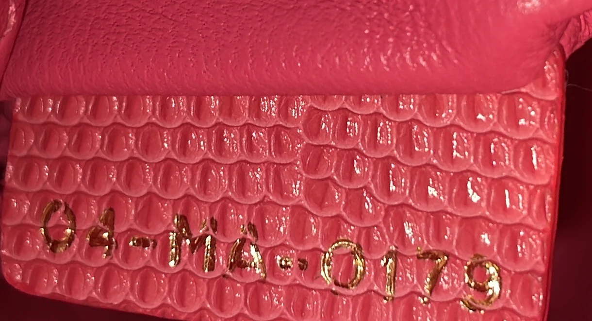 Lady Dior Chain Bag Lizard Mini - Deep Luxury