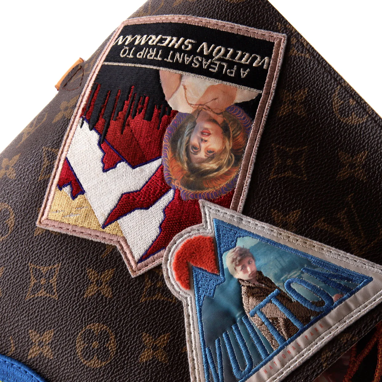 Cindy Sherman Camera Messenger Bag Patch Embellished Monogram Canvas - Deep Luxury