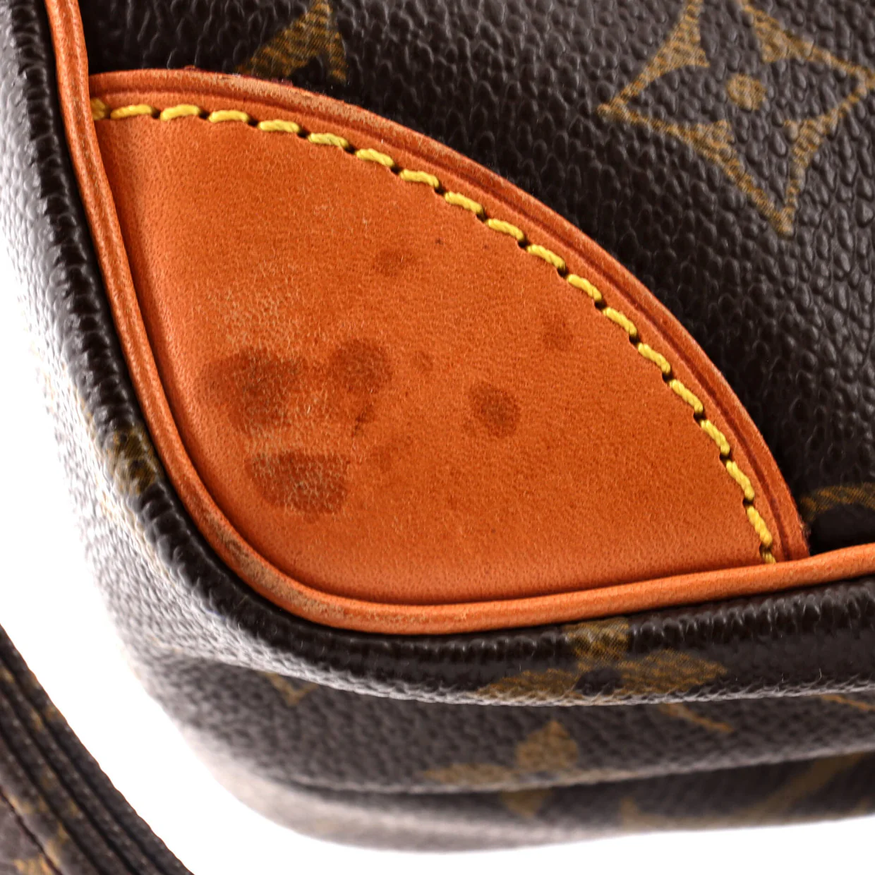 Amazone Bag Monogram Canvas - Deep Luxury