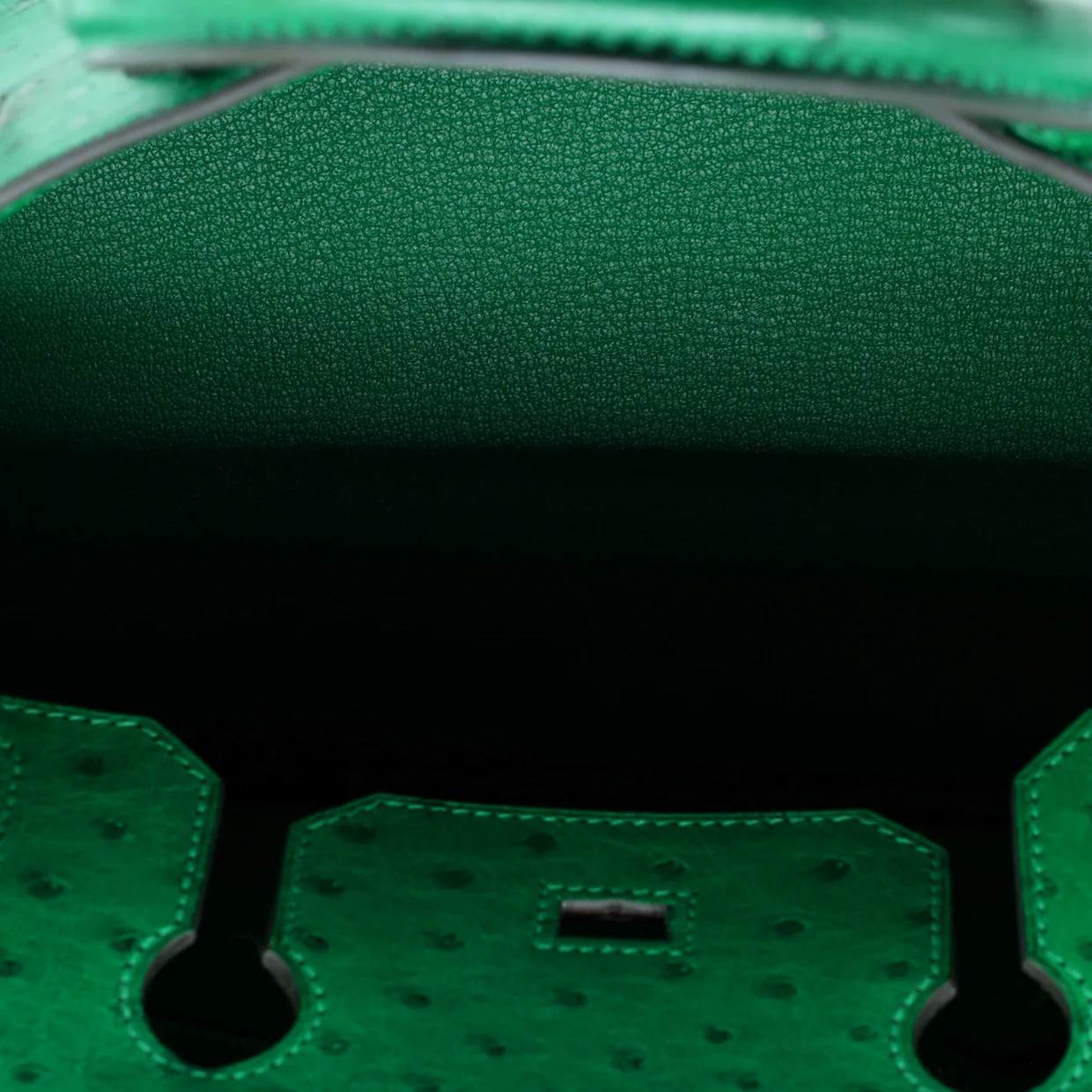 Birkin Handbag Vert Vertigo Ostrich with Palladium Hardware 30 - Deep Luxury