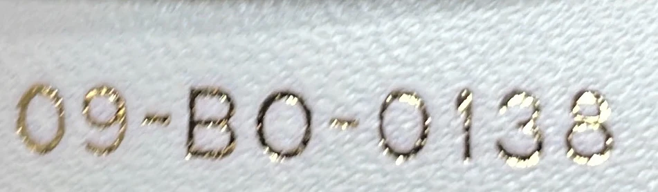 Diorama Flap Bag Studded Leather Medium - Deep Luxury