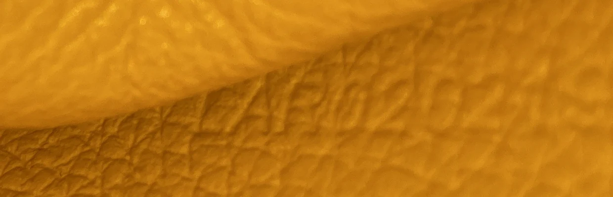 Saigon Top Handle Bag Coated Canvas with Leather Mini - Deep Luxury