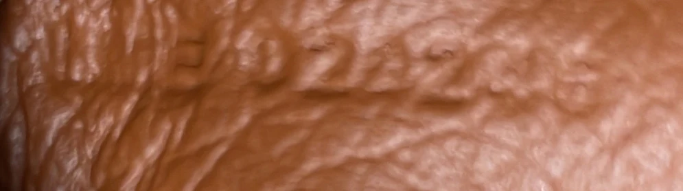 Petit Flot Bucket Bag Coated Canvas PM - Deep Luxury