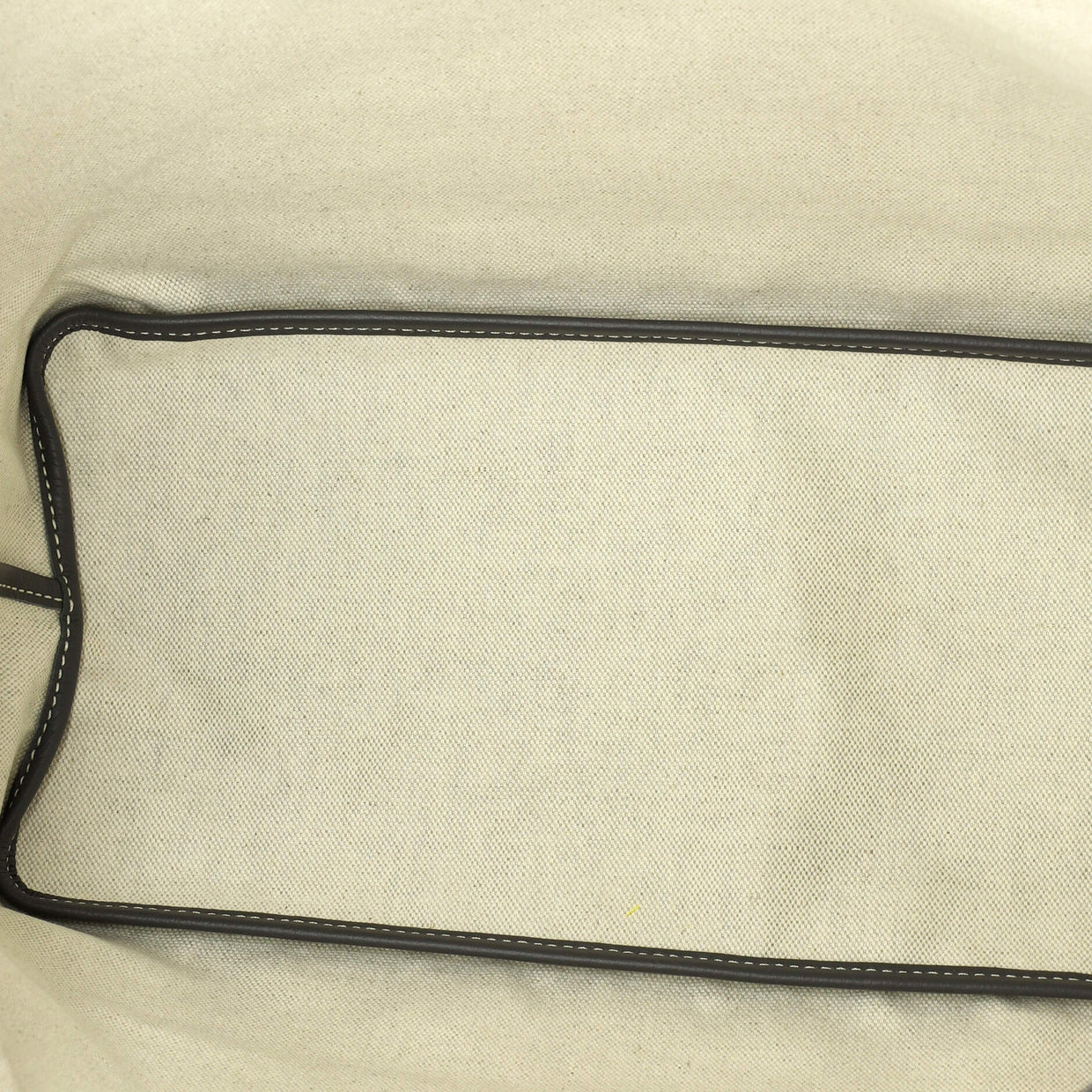 Saint Louis Tote Coated Canvas PM - Deep Luxury