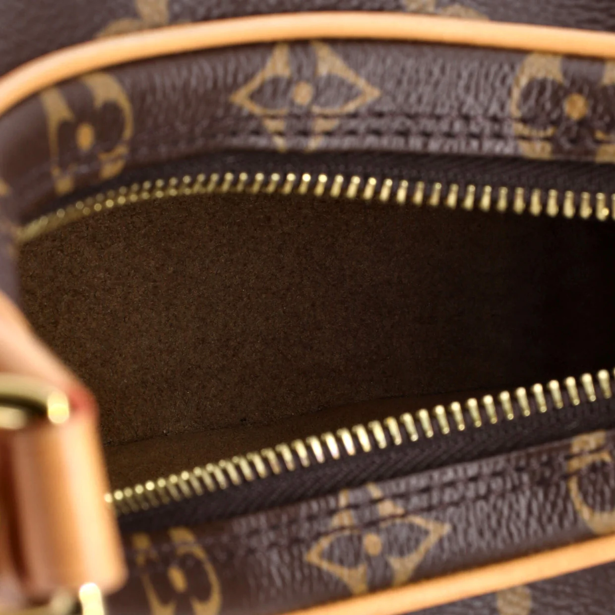 Loop Handbag Monogram Canvas - Deep Luxury