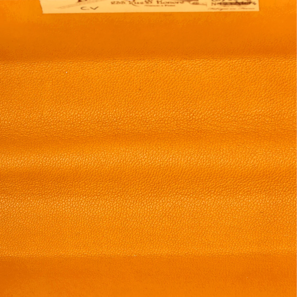 Minaudiere Bag Coated Canvas - Deep Luxury