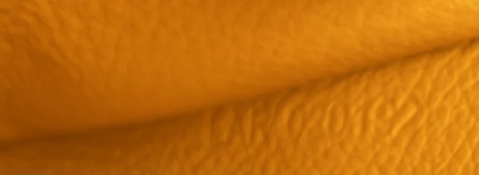 Saigon Top Handle Bag Coated Canvas with Leather Mini - Deep Luxury