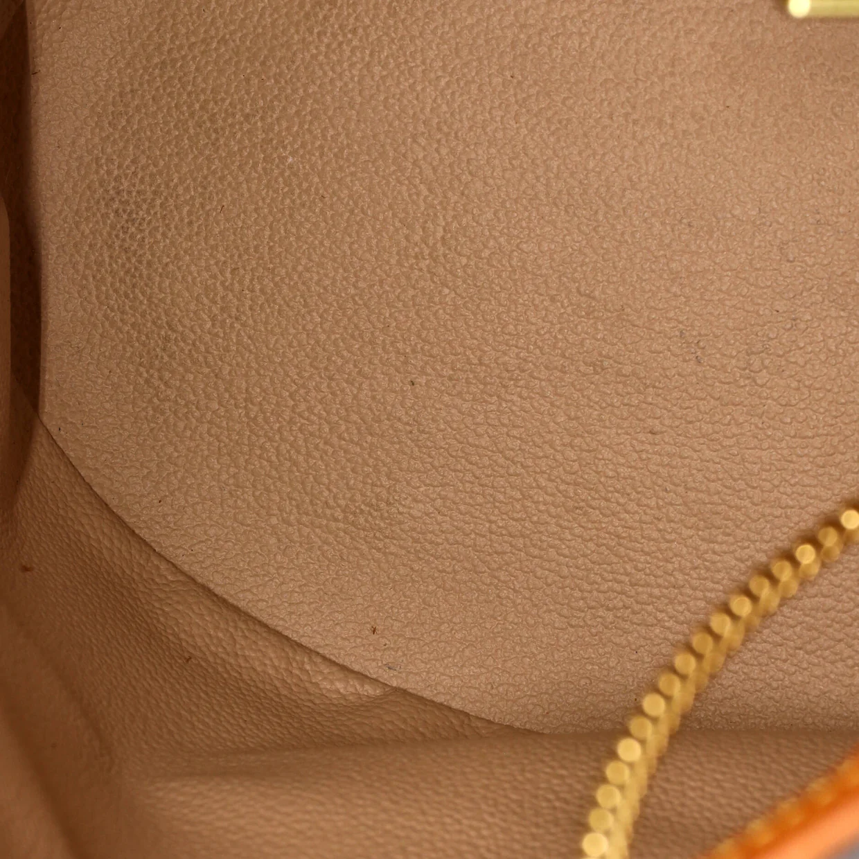 Petit Bucket Bag Monogram Canvas - Deep Luxury