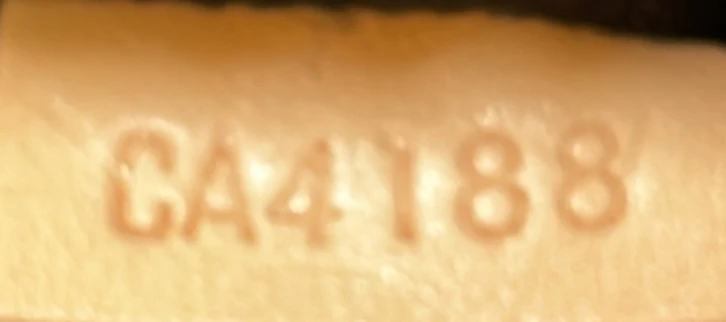 Santa Monica Crossbody Bag Monogram Vernis - Deep Luxury